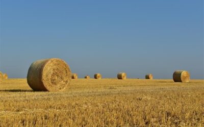 Javni natječaj za financiranje programa i projekata udruga koje promiču poljoprivredu, održivi razvoj i vrijednosti ruralnog prostora Republike Hrvatske za 2026. godinu