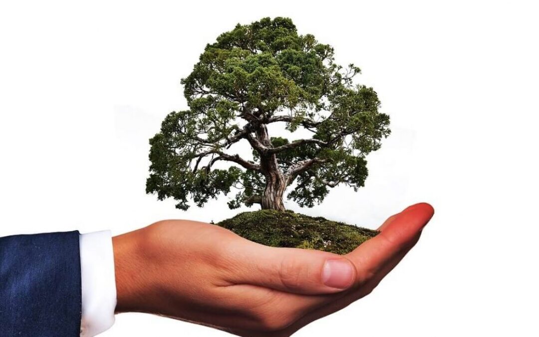 Javni poziv Fonda za neposredno sufinanciranje uklanjanja otpada odbačenog u okoliš