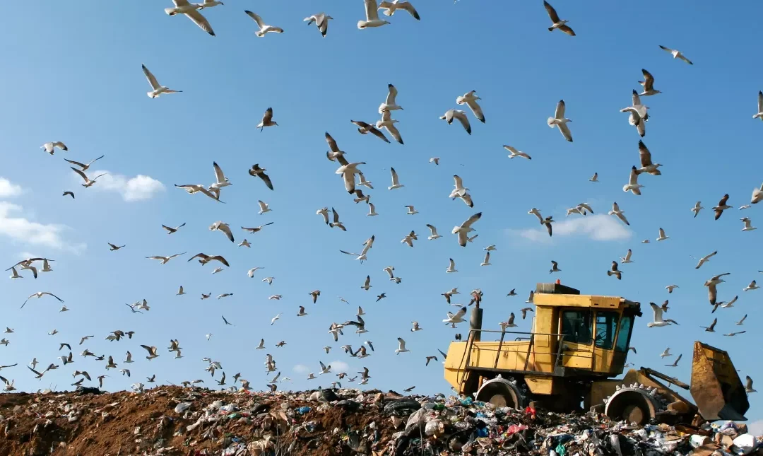 Sanacija zatvorenih odlagališta neopasnog otpada