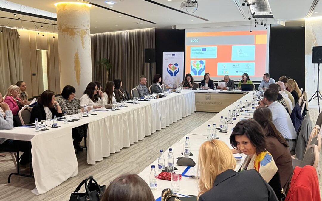Razvojna agencija Vukovarsko-srijemske županije sudjelovala na Okruglom stolu u Podgorici: Prekograničnom suradnjom do poboljšanja položaja djece i mladih sa smetnjama u razvoju