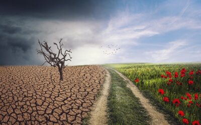 Poziv za dodjelu bespovratnih sredstava za projekte ublažavanja i prilagodbe klimatskim promjenama u Bosni i Hercegovini za 2026. godinu